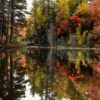 Best Places to See Fall Foliage in the USA: A blog about the best places for fall foliage in America