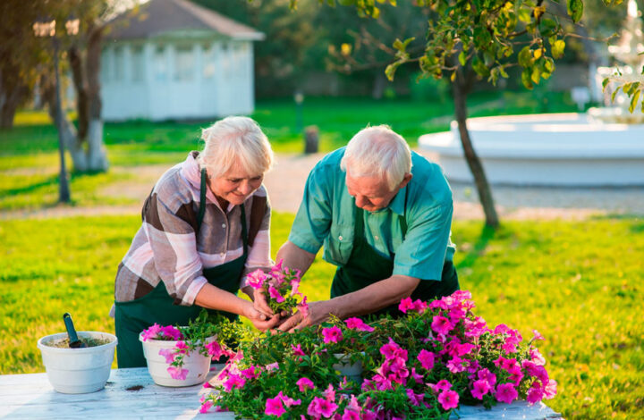 What Should Seniors Expect From Garden Tours in the UK?